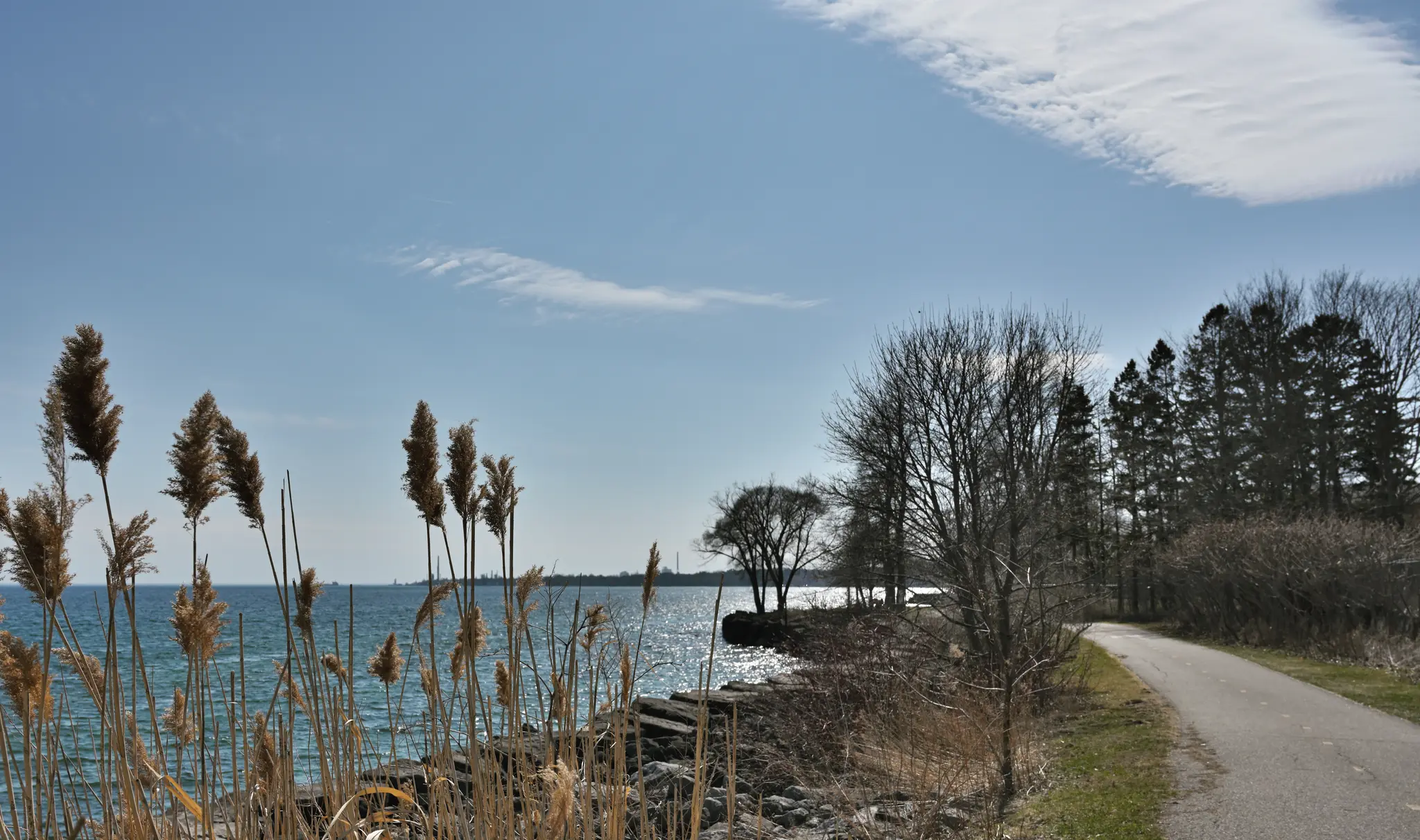 봄을 기다리면서